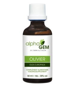 Olivier (Olea europaea) bourgeon BIO, 50 ml